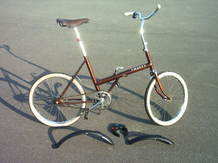 raleigh twenty for sale