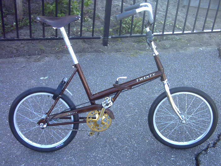 raleigh twenty for sale